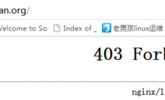 nginx服务详解