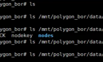 polygon主网RPC